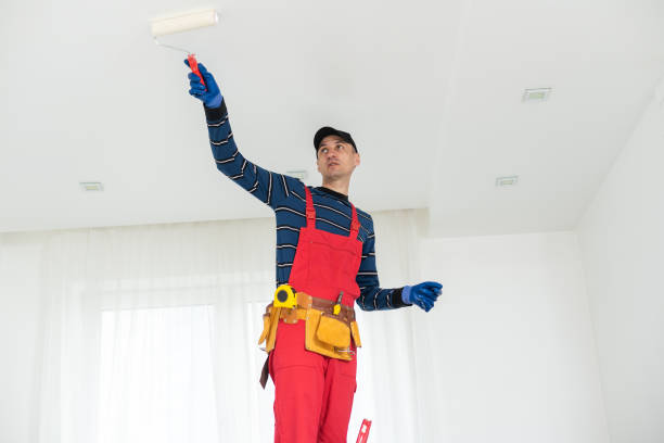 Best Fire-Damaged Drywall Repair  in Tuckerton, NJ